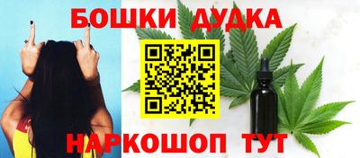 гидра Кимры