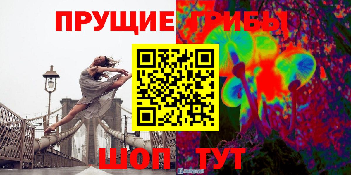 Электросталь  Псилоцибиновые грибы Cubensis  купить  сайты  Вход с VPN 